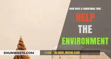 Eco-Friendly Christmas Trees: How They Benefit Our Planet and Environment