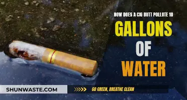 Cig Butts: A Hidden Water Polluter