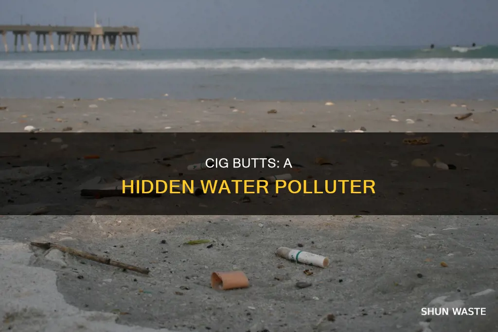 how does a cig butt pollute 10 gallons of water