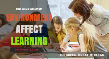 Classroom Environment's Impact: Shaping Learning Outcomes and Student Success