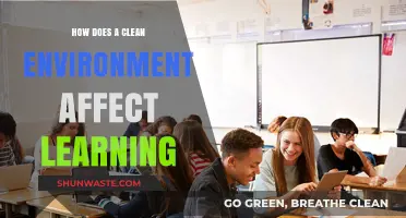Clean Spaces, Clear Minds: Boosting Learning Through a Healthy Environment