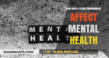 Clean Spaces, Clear Minds: The Mental Health Benefits of a Tidy Environment
