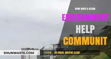 Clean Environments Foster Healthier, Happier, and More United Communities