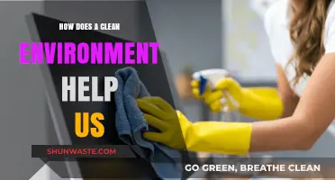 Clean Environment, Healthy Lives: Benefits of a Pollution-Free World