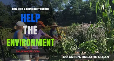 Community Gardens: Nurturing Nature, Reducing Waste, and Greening Urban Spaces