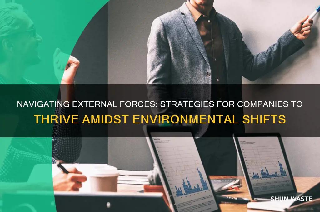 how does a company address external environment affect