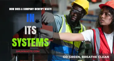 Streamlining Operations: Strategies for Identifying Waste in Business Systems