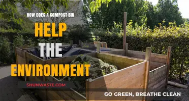 Compost Bins: Eco-Friendly Solutions for Reducing Waste and Saving Earth