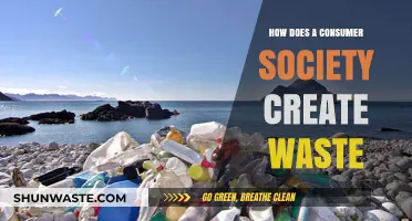 Consumer Culture's Dark Side: Unraveling the Waste Crisis We Create