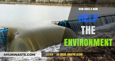 Dams: Environmental Benefits, Ecosystem Support, and Sustainable Water Management