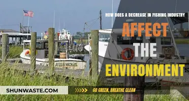 Declining Fishing Industry: Environmental Impacts and Ecosystem Recovery Insights