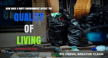Dirty Surroundings, Diminished Lives: Impact of Environmental Neglect on Well-being