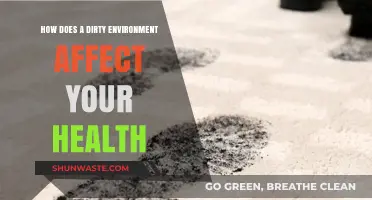Dirty Surroundings, Serious Health Risks: The Hidden Dangers of Neglect