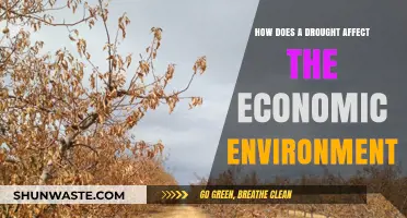 Drought's Economic Impact: Challenges and Consequences for Communities