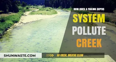 Septic Systems: Creek Pollution and Failure