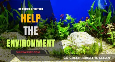 Eco-Friendly Aquariums: How Fish Tanks Benefit Our Environment