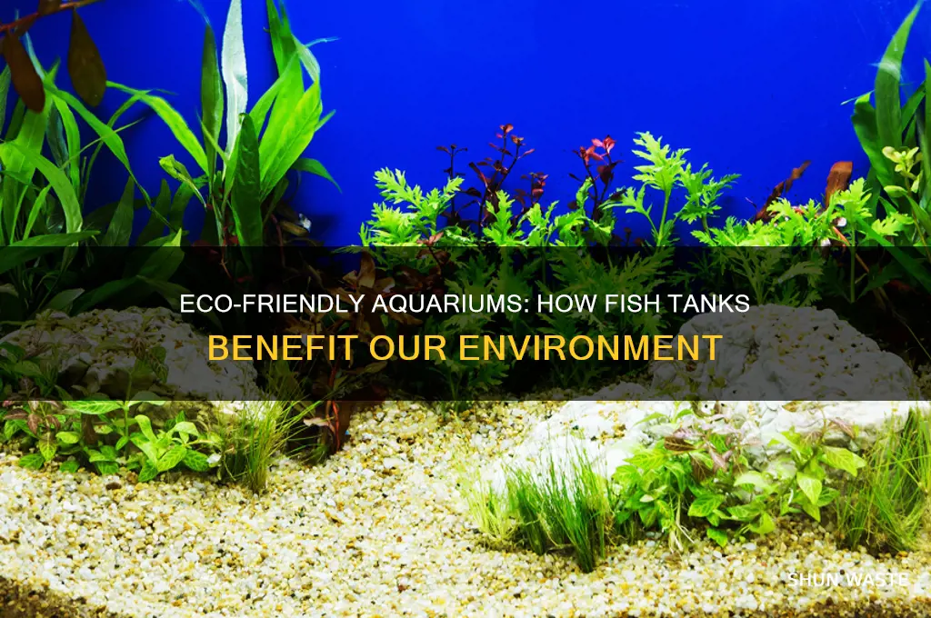 how does a fishtank help the environment