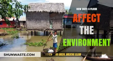Floods' Environmental Impact: Ecosystem Disruption, Soil Erosion, and Pollution