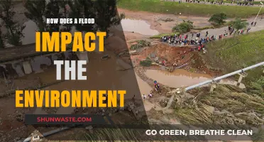 Floods' Devastating Environmental Impact: Ecosystem Disruption and Long-Term Consequences