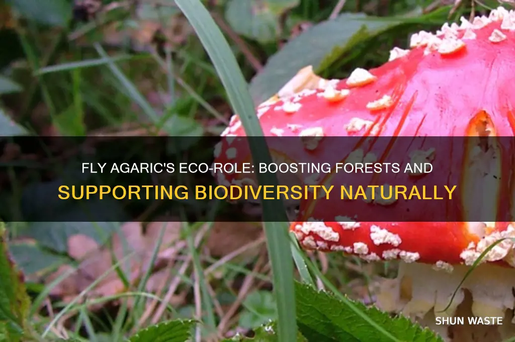how does a fly agaric help the environment