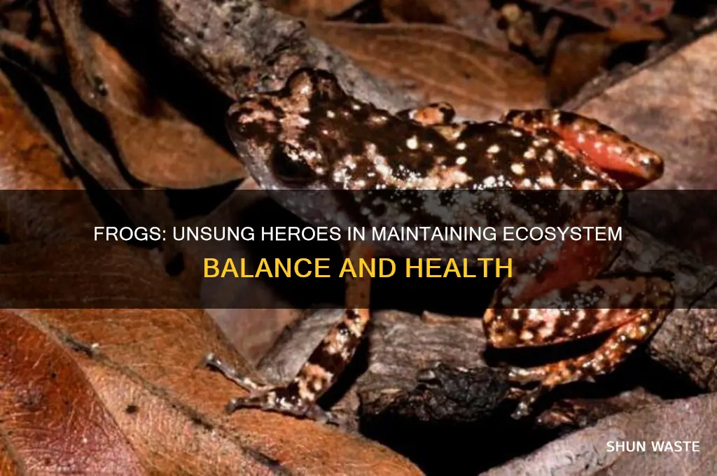 how does a frog help the environment