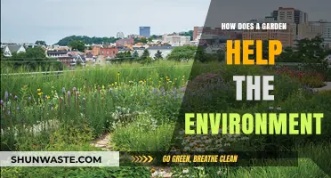 Gardens: Nature's Allies in Combating Climate Change and Promoting Biodiversity