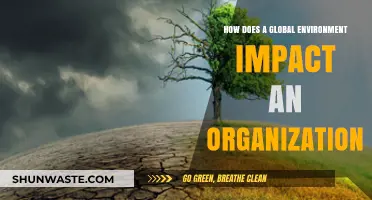 Global Environment's Influence: Shaping Organizational Strategies and Operations