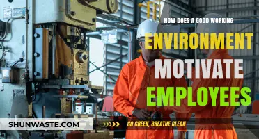 Boosting Employee Motivation: The Power of a Positive Work Environment