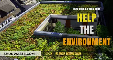 Green Roofs: Sustainable Solutions for Urban Environmental Challenges