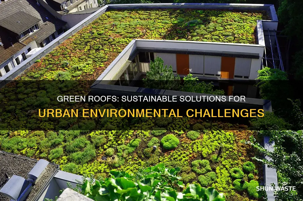 how does a green roof help the environment