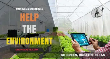 Greenhouses: Eco-Friendly Solutions for Sustainable Agriculture and Climate Protection