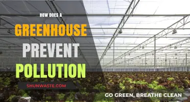 Greenhouse Gardening: Reducing Pollution, Nurturing Nature