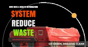 Streamlining Healthcare: How Information Systems Cut Waste and Boost Efficiency