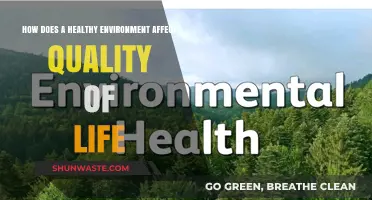 Healthy Environments, Happier Lives: The Impact on Quality of Life