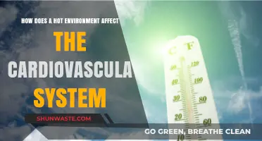 Hot Environments and Heart Health: Impacts on the Cardiovascular System