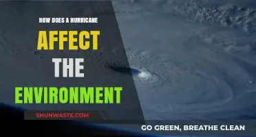 Hurricanes' Environmental Impact: Destruction, Ecosystems, and Long-Term Consequences