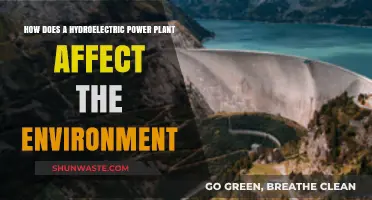 Hydroelectric Power Plants: Environmental Impacts and Sustainability Challenges