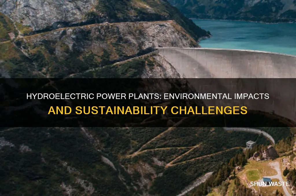 how does a hydroelectric power plant affect the environment