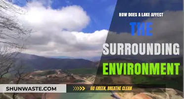 Lakes' Environmental Impact: Shaping Ecosystems and Local Climates