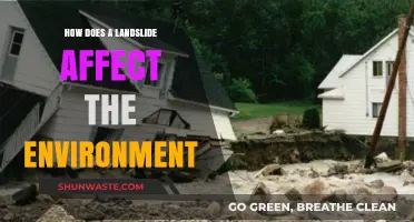 Landslides' Environmental Impact: Soil, Water, and Ecosystem Disruption Explained