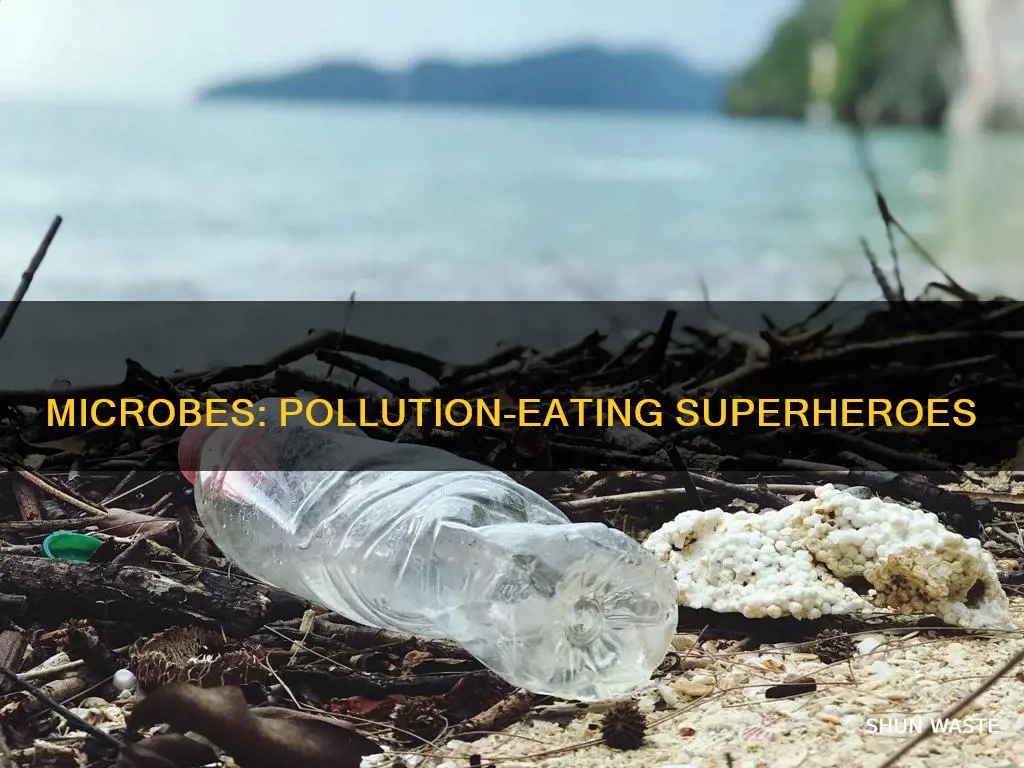 how does a microbe eat a pollution