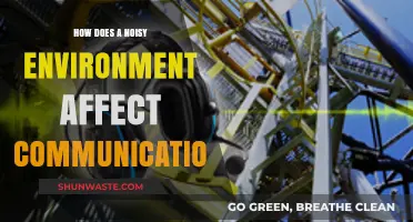 Noisy Surroundings: Impact on Effective Communication and Understanding