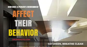 Environment's Impact: Shaping Behavior and Personal Development Insights
