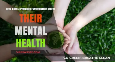 Surroundings and Mind: Exploring Environment's Impact on Mental Well-Being