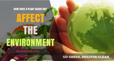 Plant-Based Diets: Environmental Impact and Sustainable Food Choices