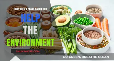 Plant-Based Diets: Sustainable Eating for a Greener, Healthier Planet