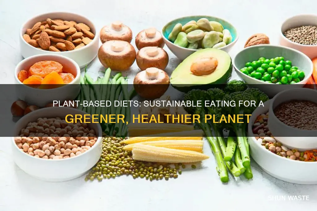how does a plant based diet help the environment