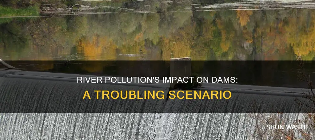 how does a polluted river affect a dam