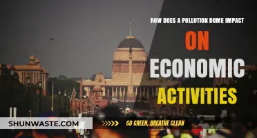 Pollution Domes: Economic Impact and Activity