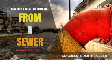 The Dark Side of Sewers: Pollution Exposed